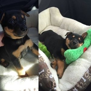 Meet your Posher, Kyle